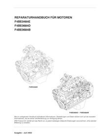 Case F4BE0484E, F4BE0684D, F4BE0684B motor pdf manual de serviço DE