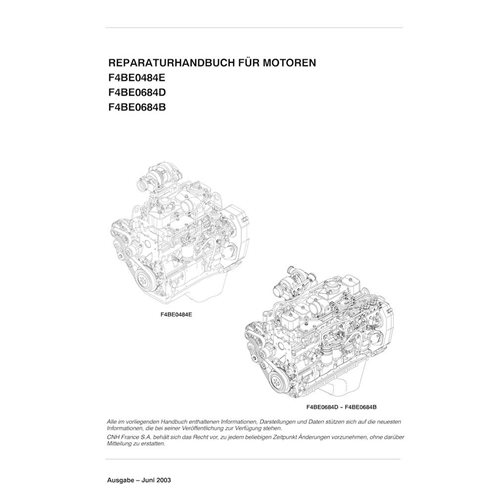 Case F4BE0484E, F4BE0684D, F4BE0684B engine pdf service manual DE