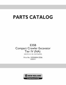 Excavadora de orugas Case E35B Tier IV pdf catálogo de piezas - Caso manuales - CASE-S3PX00041ZE06
