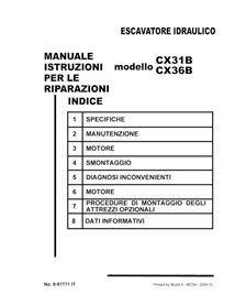 Manuel d'entretien pdf pour excavatrice Case CX31B, CX36B IT - Case manuels - CASE-9-91771-SM-IT